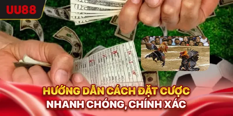 Đá Gà 88 - Sảnh Trực Tuyến Uy Tín Và Cơ Hội Thắng Lớn 2 Hướng dẫn cách đặt cược nhanh chóng, chính xác